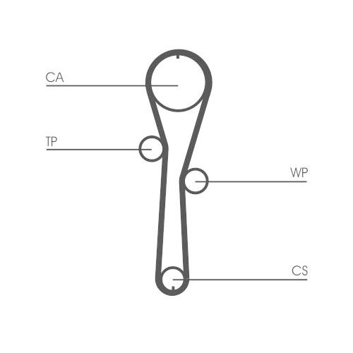 CONTINENTAL CTAM Zahnriemen