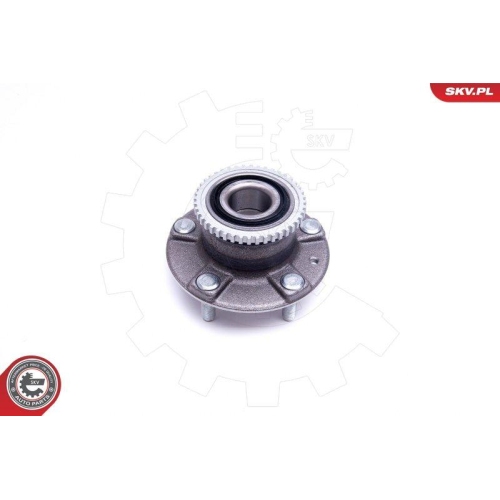 ESEN SKV Radlagersatz