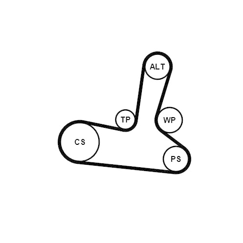 CONTINENTAL CTAM Keilrippenriemensatz