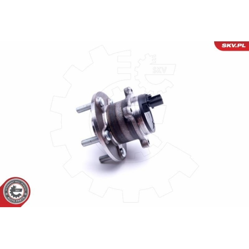 ESEN SKV Radlagersatz