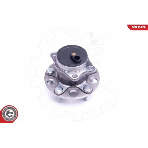 ESEN SKV Radlagersatz