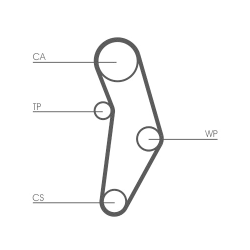 CONTINENTAL CTAM Zahnriemen