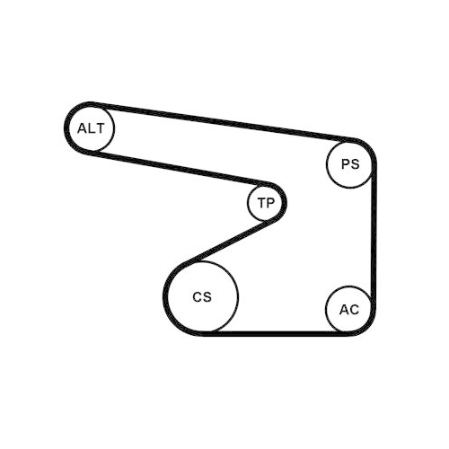 CONTINENTAL CTAM Keilrippenriemensatz