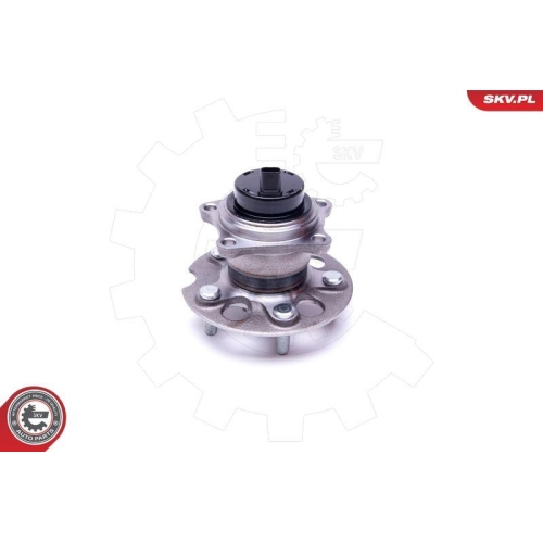 ESEN SKV Radlagersatz