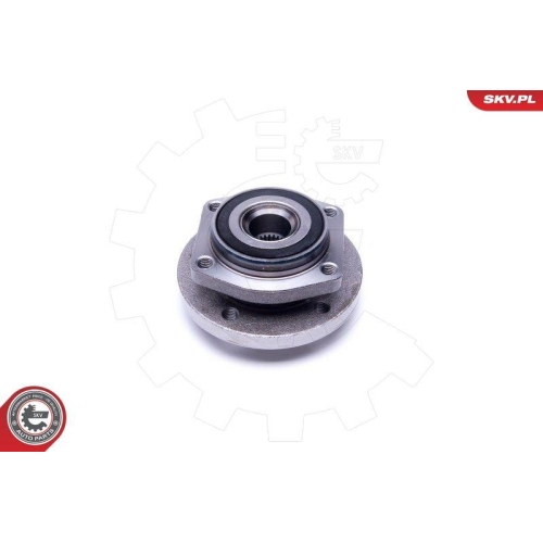 ESEN SKV Radlagersatz