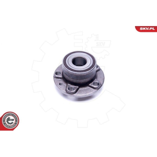 ESEN SKV Radlagersatz