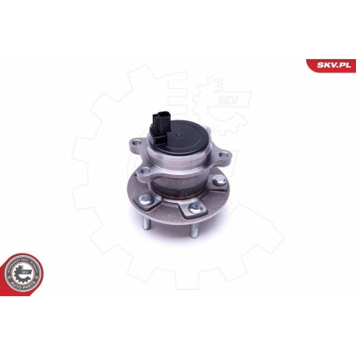 ESEN SKV Radlagersatz