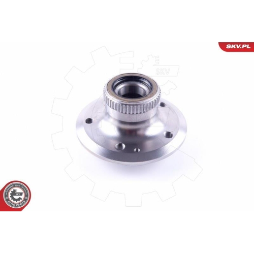 ESEN SKV Radlagersatz