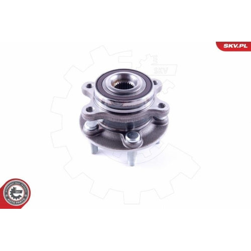 ESEN SKV Radlagersatz