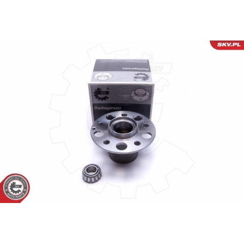 ESEN SKV Radlagersatz