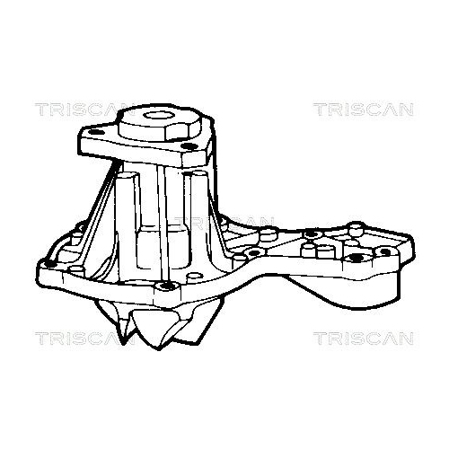 TRISCAN Wasserpumpe, Motorkühlung