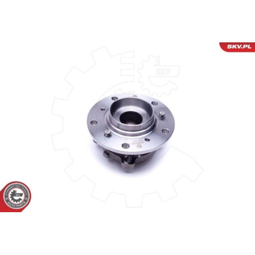 ESEN SKV Radlagersatz