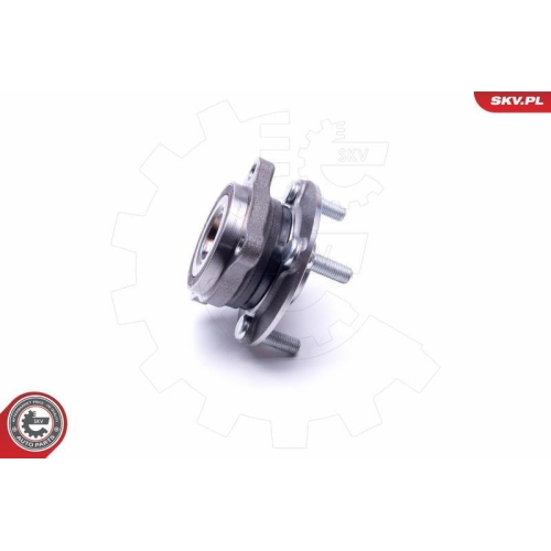 ESEN SKV Radlagersatz