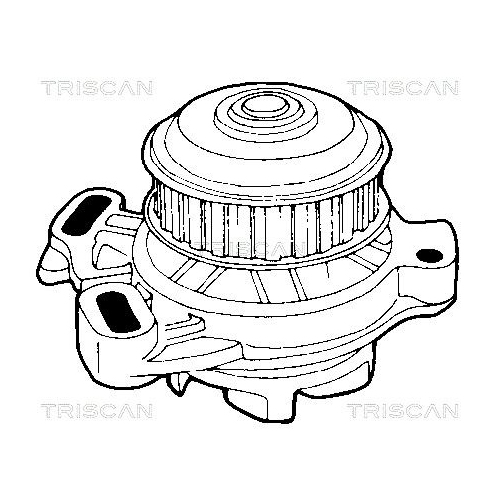 TRISCAN Wasserpumpe, Motorkühlung