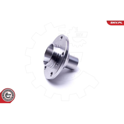 ESEN SKV Radlagersatz