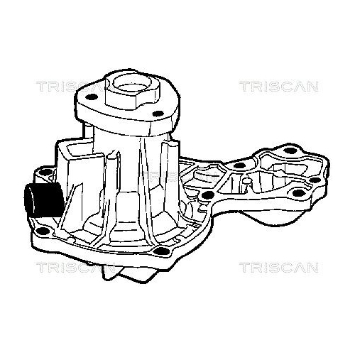 TRISCAN Wasserpumpe, Motorkühlung