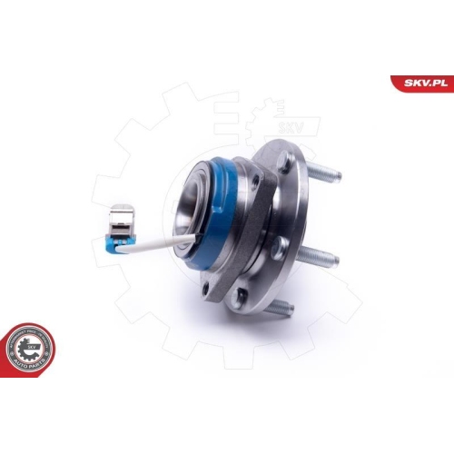 ESEN SKV Radlagersatz