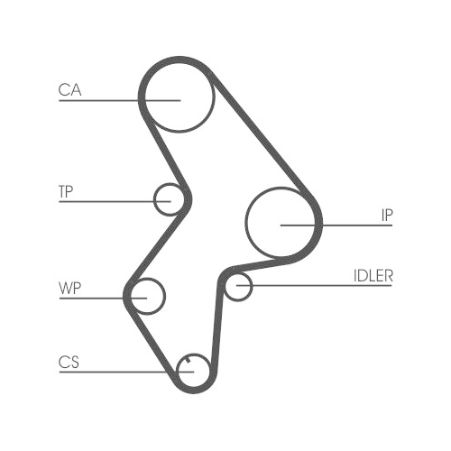 CONTINENTAL CTAM Zahnriemen