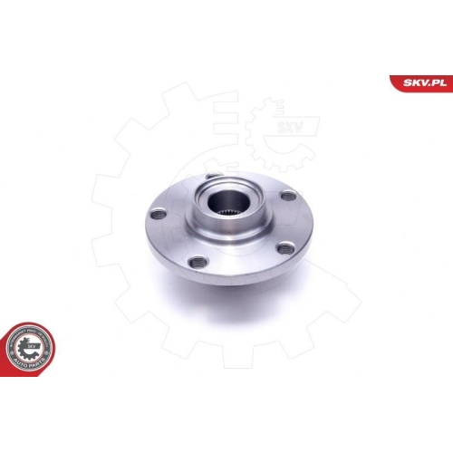 ESEN SKV Radlagersatz