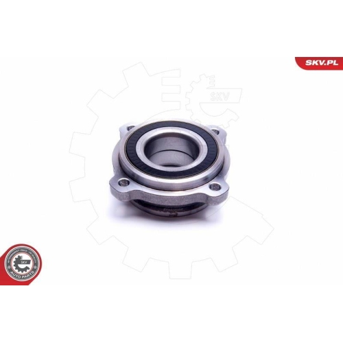 ESEN SKV Radlagersatz