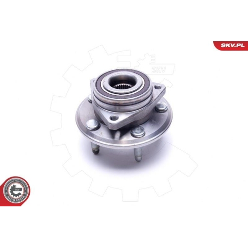 ESEN SKV Radlagersatz