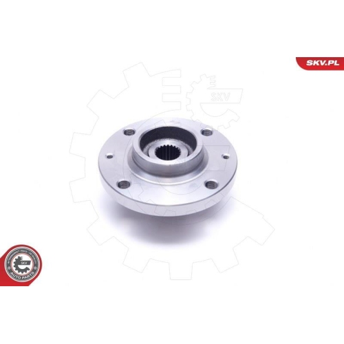 ESEN SKV Radlagersatz