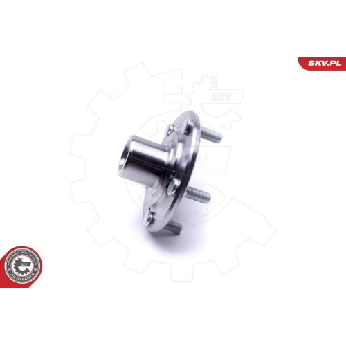 ESEN SKV Radlagersatz