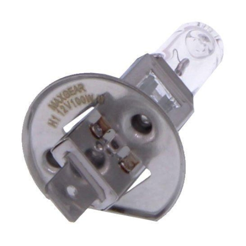 MAXGEAR Glühlampe, Hauptscheinwerfer