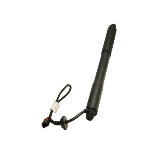 MAXGEAR Gasfeder, Einlegeboden (Koffer-/Laderaum)