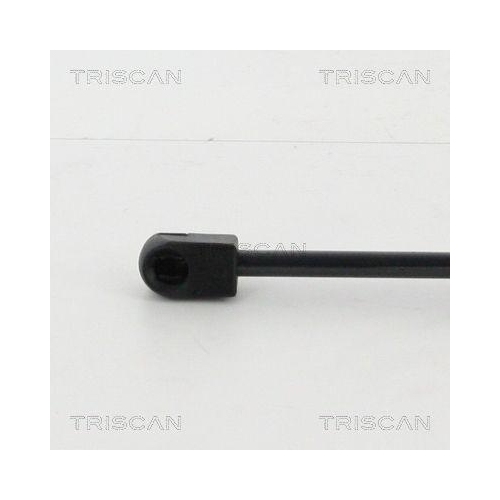 TRISCAN Gasfeder, Motorhaube
