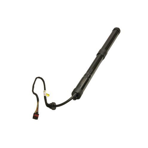 MAXGEAR Gasfeder, Einlegeboden (Koffer-/Laderaum)