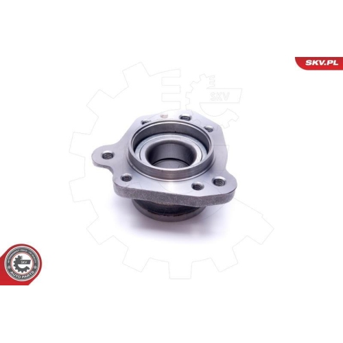 ESEN SKV Radlagersatz
