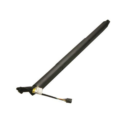 MAXGEAR Gasfeder, Einlegeboden (Koffer-/Laderaum)