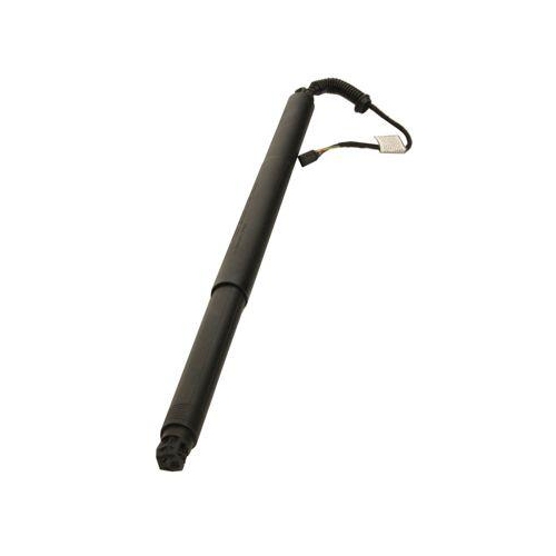 MAXGEAR Gasfeder, Einlegeboden (Koffer-/Laderaum)