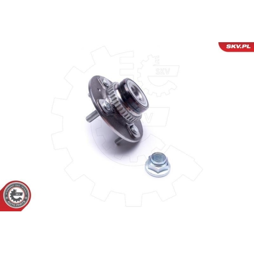 ESEN SKV Radlagersatz