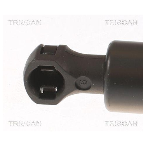 TRISCAN Gasfeder, Motorhaube