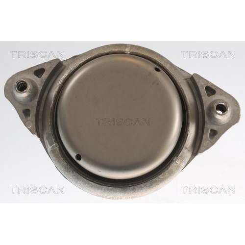 TRISCAN Lagerung, Motor