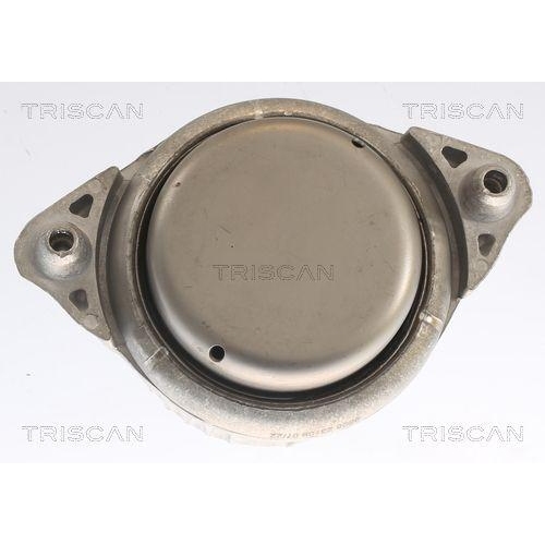 TRISCAN Lagerung, Motor