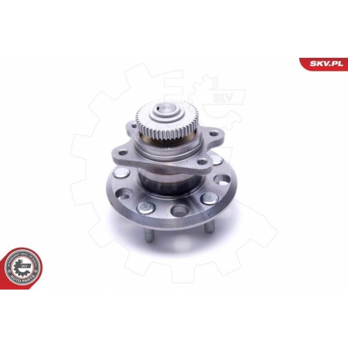 ESEN SKV Radlagersatz