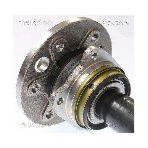 TRISCAN Radlagersatz