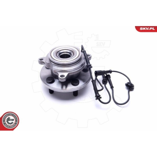 ESEN SKV Radlagersatz
