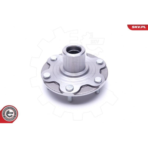 ESEN SKV Radlagersatz