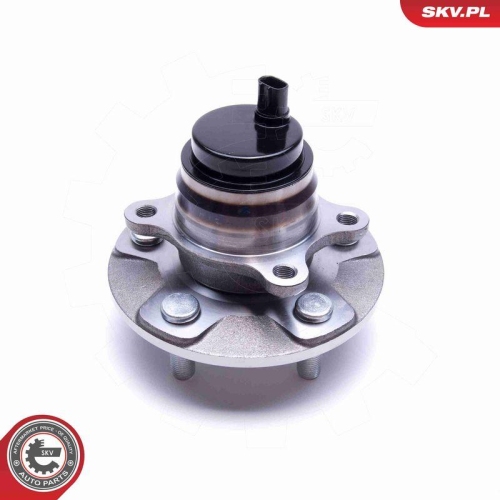 ESEN SKV Radlagersatz