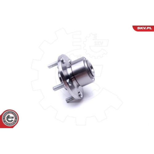 ESEN SKV Radlagersatz