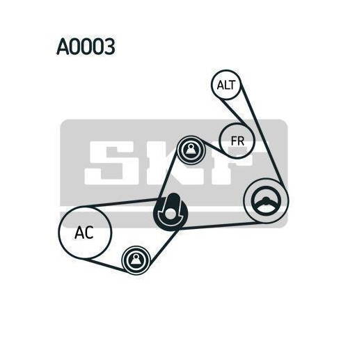 SKF Keilrippenriemensatz