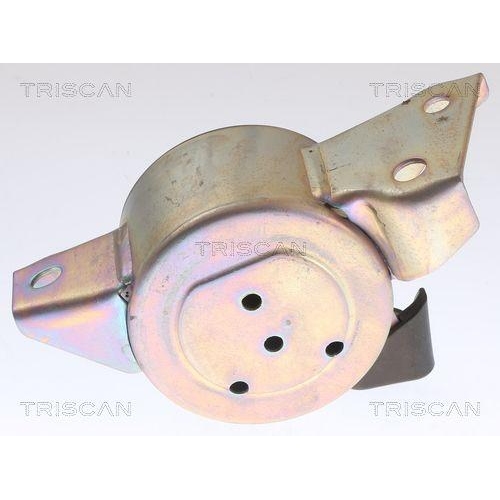 TRISCAN Lagerung, Motor