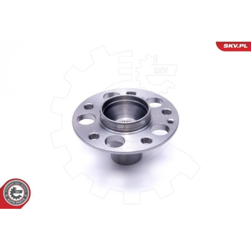 ESEN SKV Radlagersatz