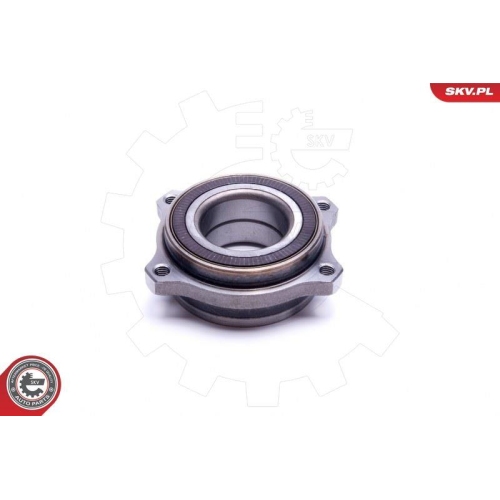ESEN SKV Radlagersatz