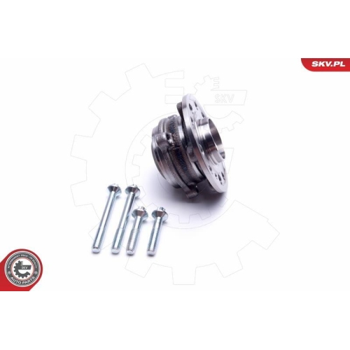 ESEN SKV Radlagersatz