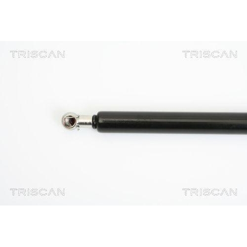 TRISCAN Gasfeder, Koffer-/Laderaum
